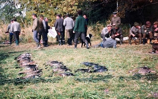 Hon na kachny u Hlubokého 1982